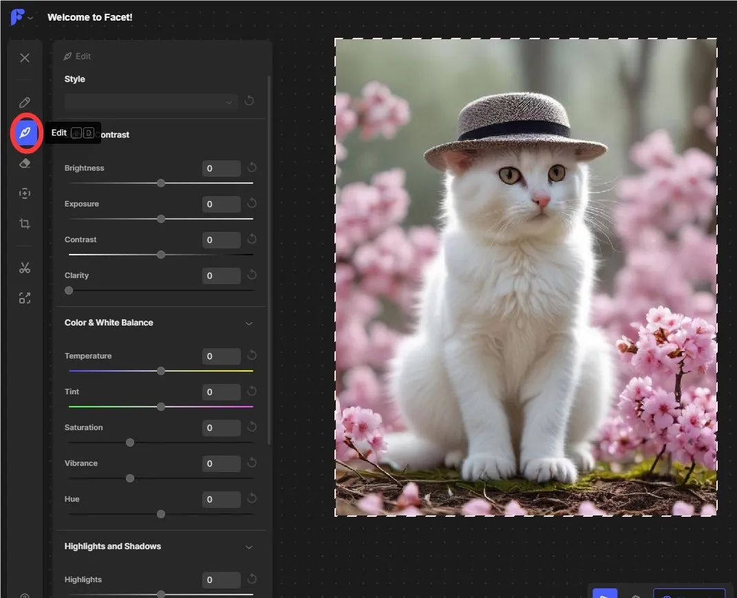 AI工具推荐:AI图像编辑工具Facet AI 实时图像生成,可精确控制图像元素(附详细教程) AI工具推荐:AI图像编辑工具Facet AI 实时图像生成,可精确控制图像元素(附详细教程)